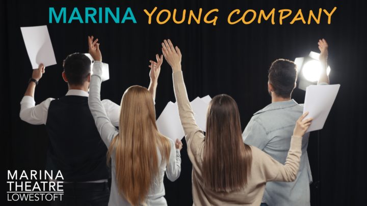 Marina Young Company Info Session