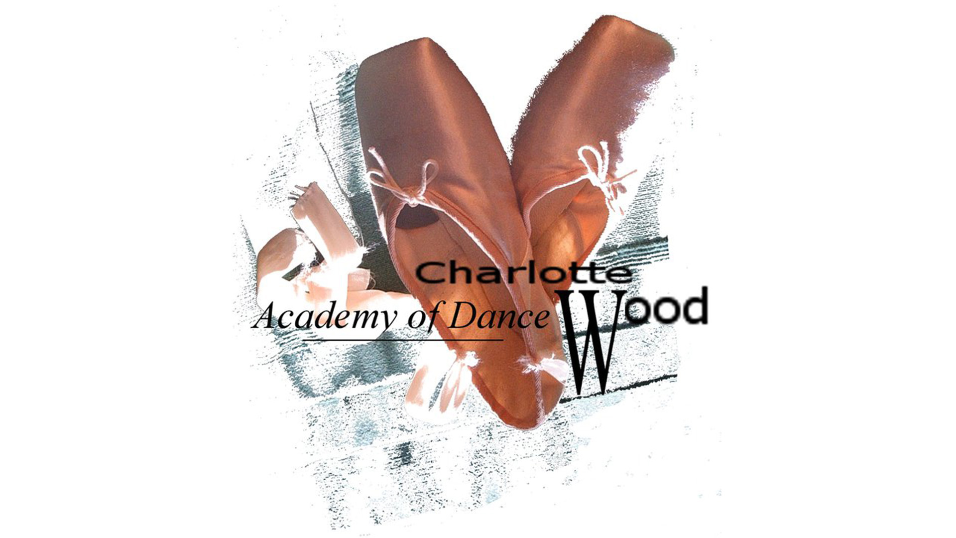 Charlotte Wood Academy of Dance: Tutus and Trainers