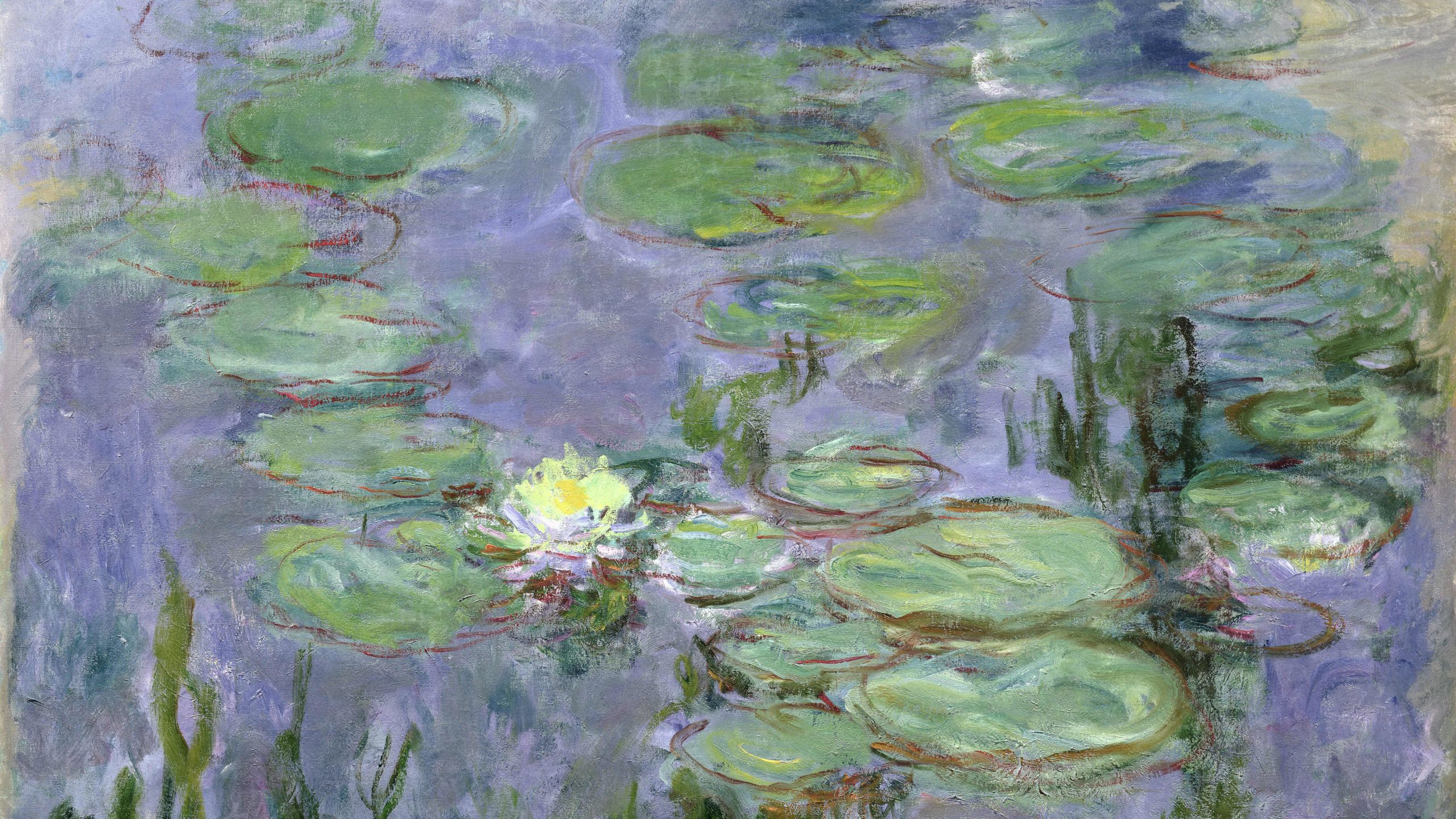 EOS: Monet